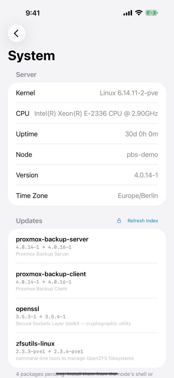 System of a Backup Server with server details and updates