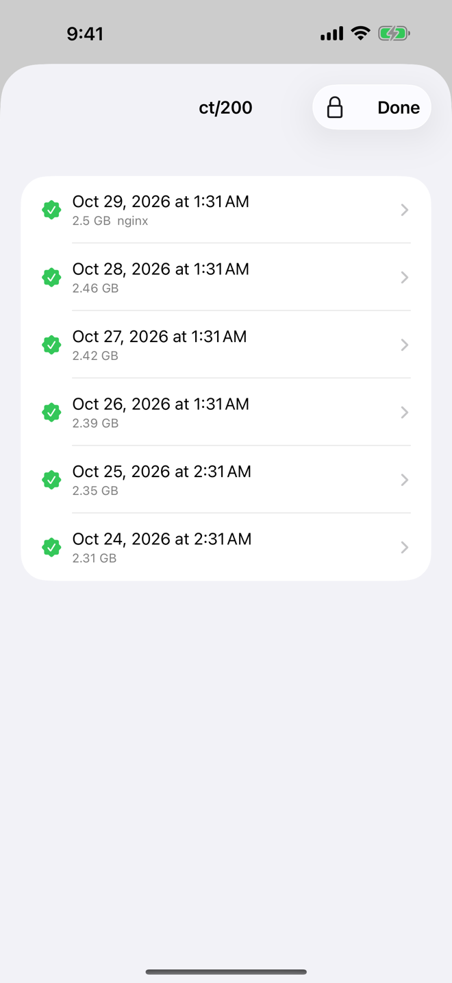 A backup group with its snapshots